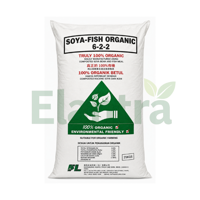 SOYA FISH 6-2-2